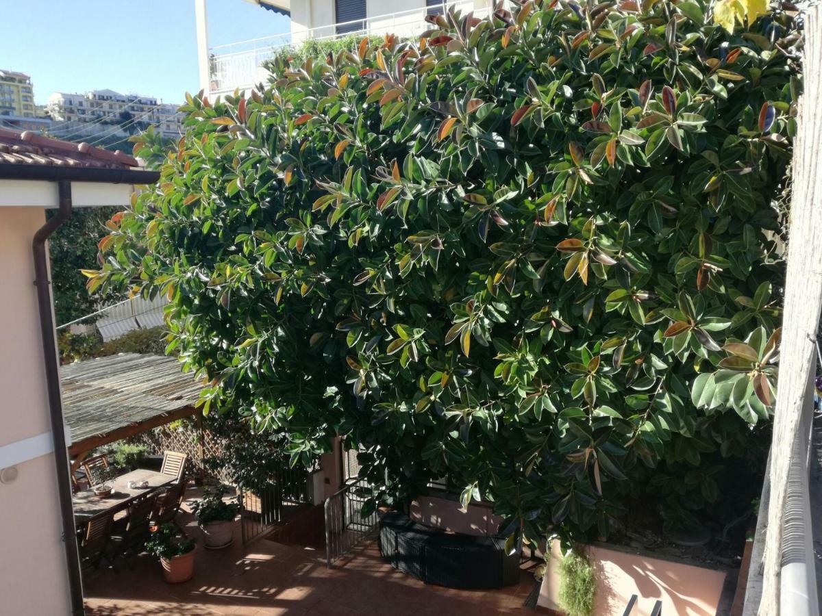 סנרמו Villa Bruna B&B מראה חיצוני תמונה